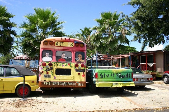 Hawaii Unplugged: Your Essential Travel Guide to Island Adventures, Culture, and Natural Wonders